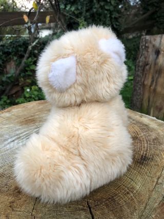 Tre peluche: Winnie the Pooh, cane e gatto