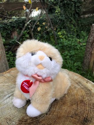 Tre peluche: Winnie the Pooh, cane e gatto