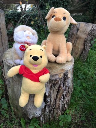 Tre peluche: Winnie the Pooh, cane e gatto