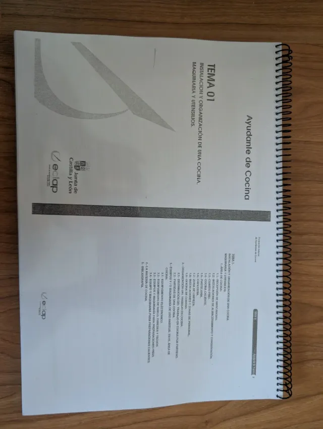 Temario  y test Ayudante Cocina.