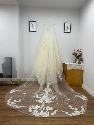 Vestido de Novia Blanco/Beige + Velo