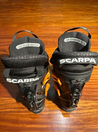 Botas de esquí Scarpa / Bastones Black Crows