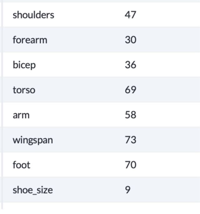 Squirrel Aura2 Traje de Alas Paracaídas/Salto Base