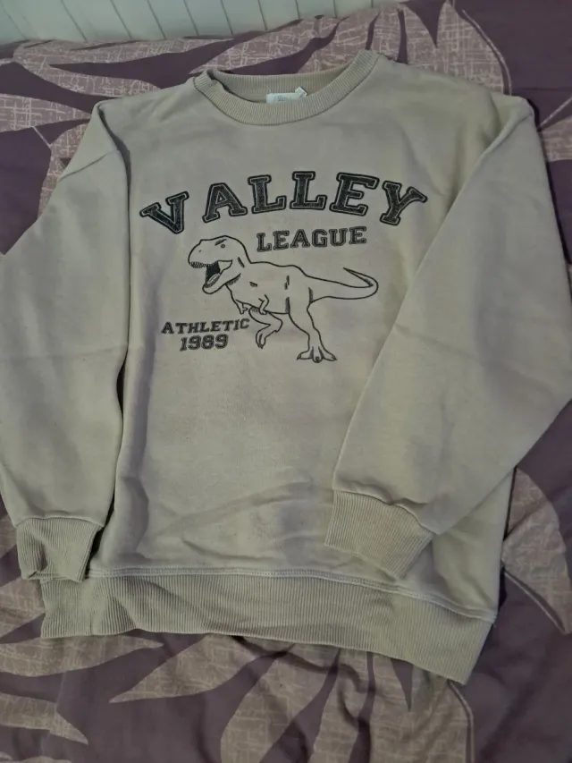 Sudadera Sfera Dinosaurio Valley League