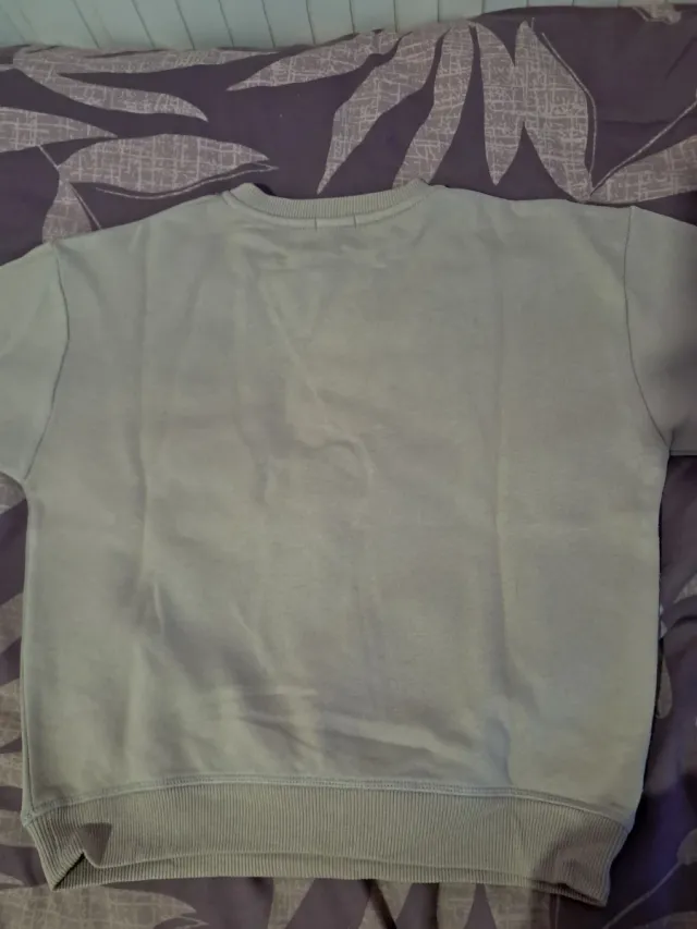 Sudadera Sfera Dinosaurio Valley League