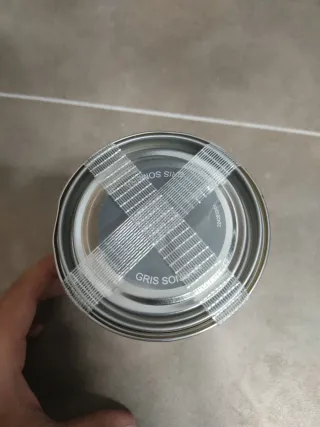 Pintura Bruguer Elegance Gris Neutro