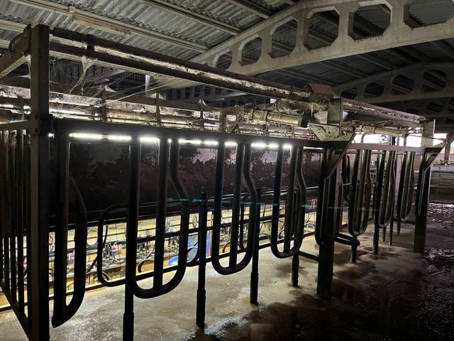 Sala de Ordeño DELAVAL