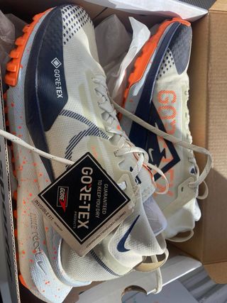 Nike Trail Gore-Tex Beige Naranja