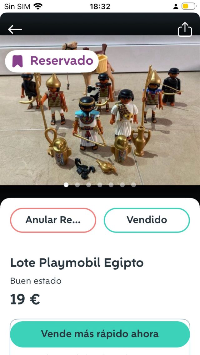 Lotes Playmobil Terra
