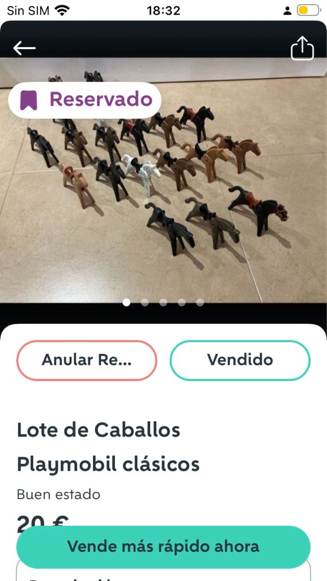 Lotes Playmobil Terra