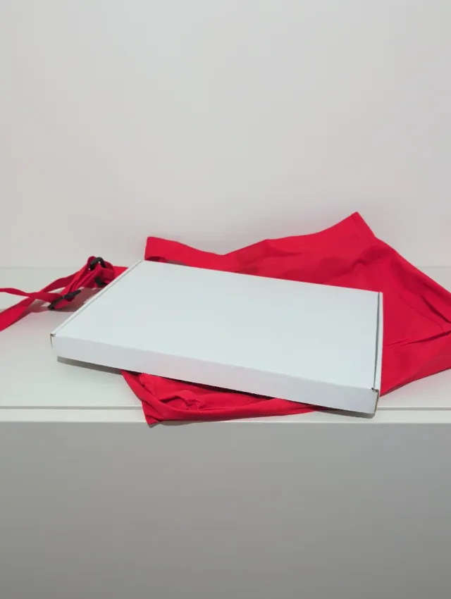 Madonna Rebel Heart Tour VIP Edición Limitada