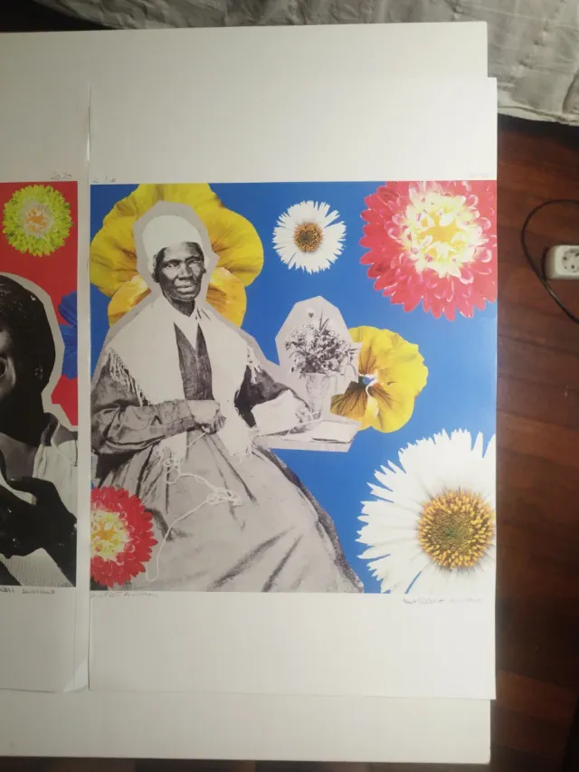 Colección Láminas África Multicolor