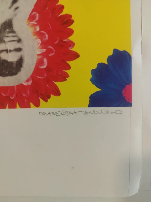 Colección Láminas África Multicolor