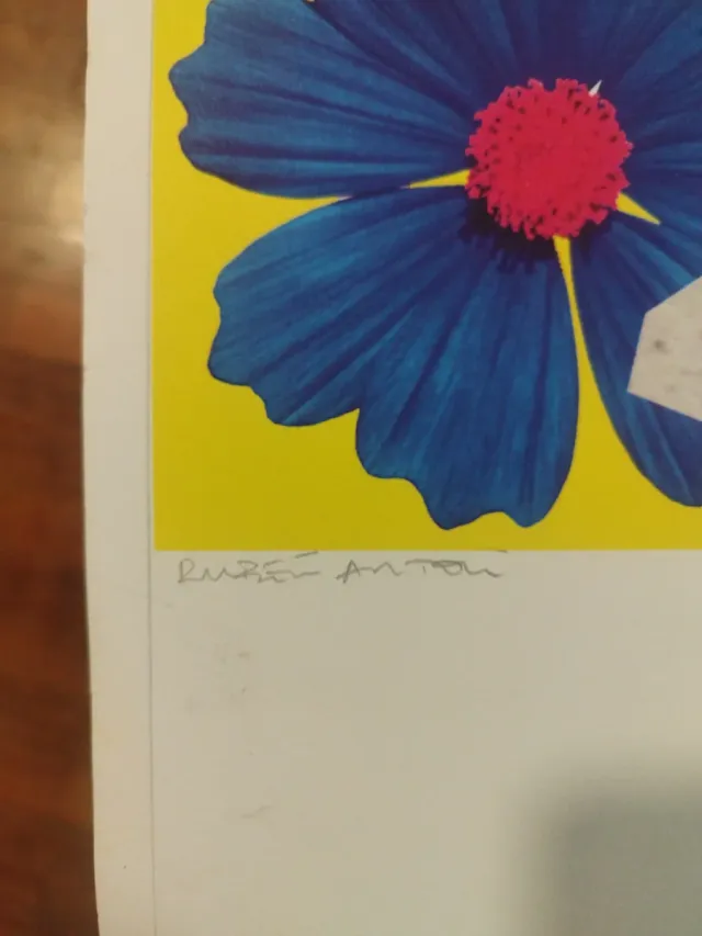 Colección Láminas África Multicolor