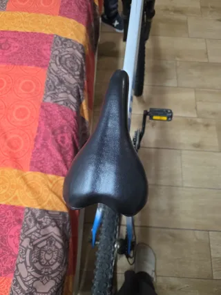 Bicicleta de Montaña