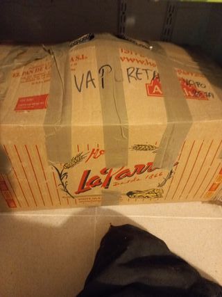 Vaporeta Polti con accesorios