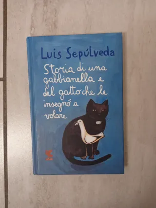 Storia di una gabbianella e del gatto che le in...