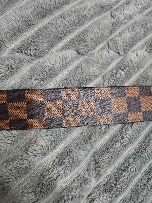 Cinturón Louis Vuitton Marrón y Plateado