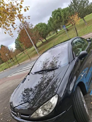 Peugeot 206 2004