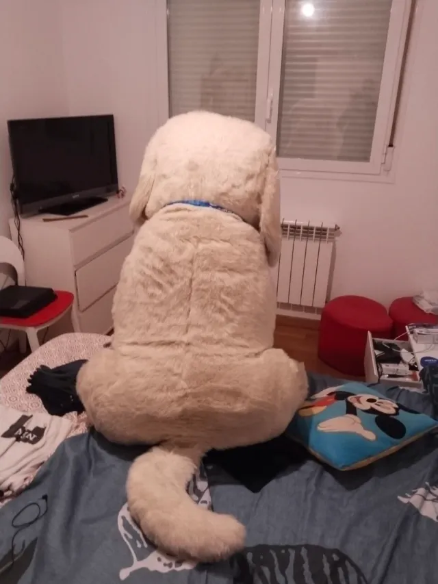 Peluche gigante perro