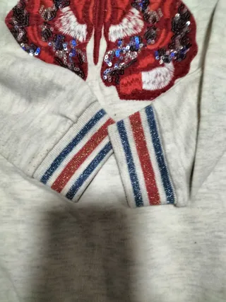 Sudadera mariposa niña 9/10