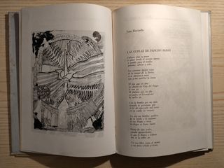 poesia por la victoria