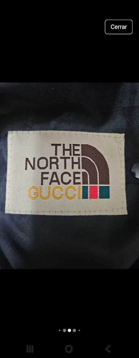 Chaqueta The North Face x Gucci Marrón y Negra