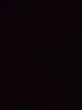 Limpiezas en general