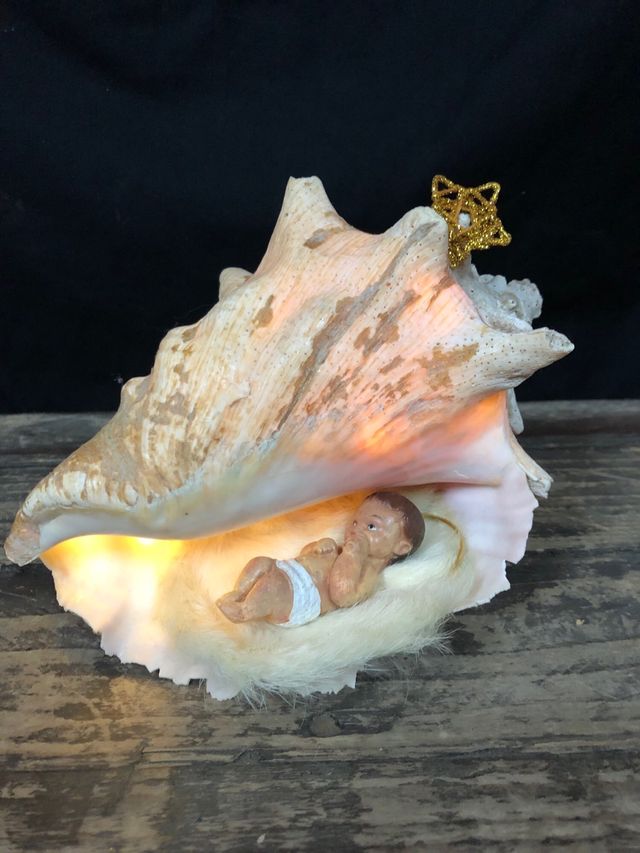 Montaje Nacimiento en Concha Natural con Luz 