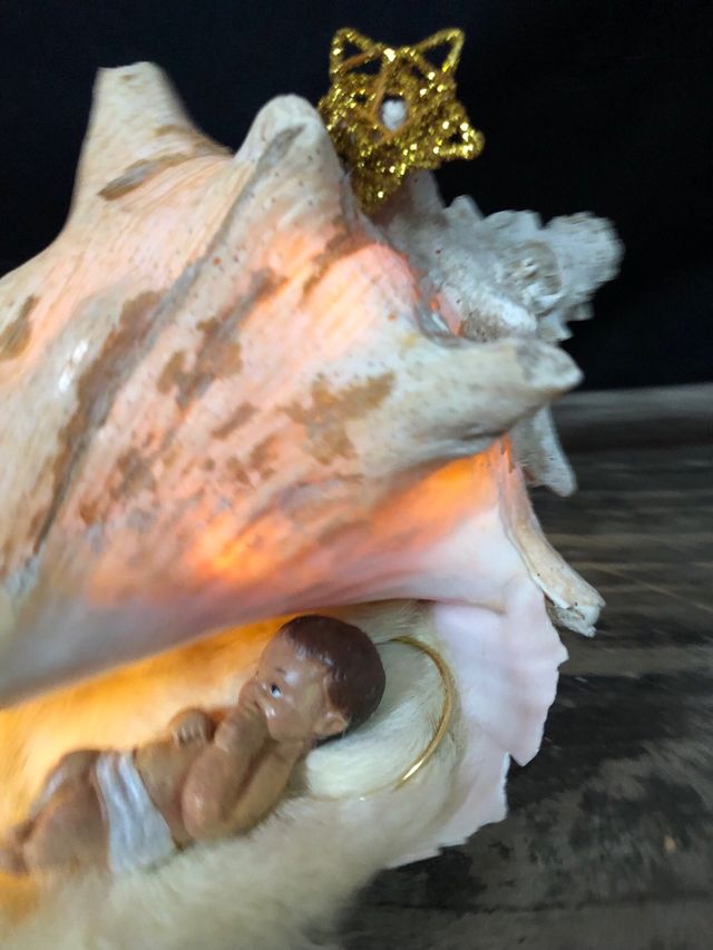 Montaje Nacimiento en Concha Natural con Luz 