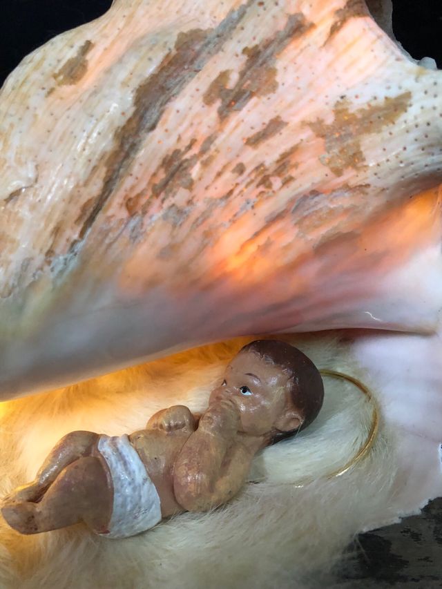 Montaje Nacimiento en Concha Natural con Luz 