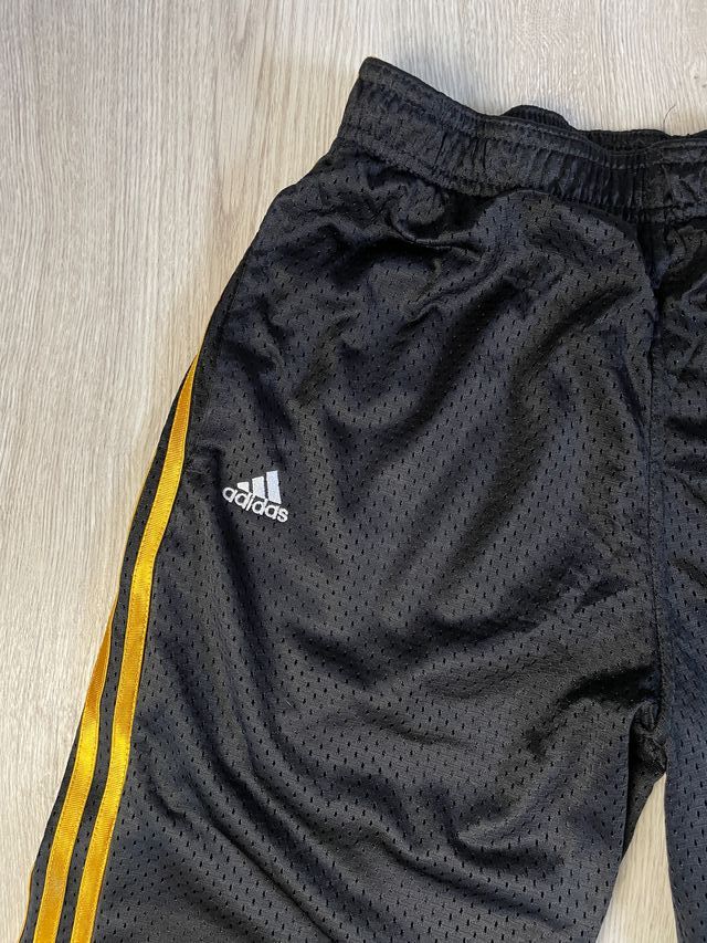 Pantaloncini Adidas Juventud Madianos Missouri Mizz