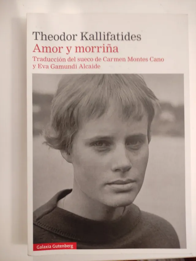 Amor y morriña (Galaxia Gutenberg, 300) (Spanis...