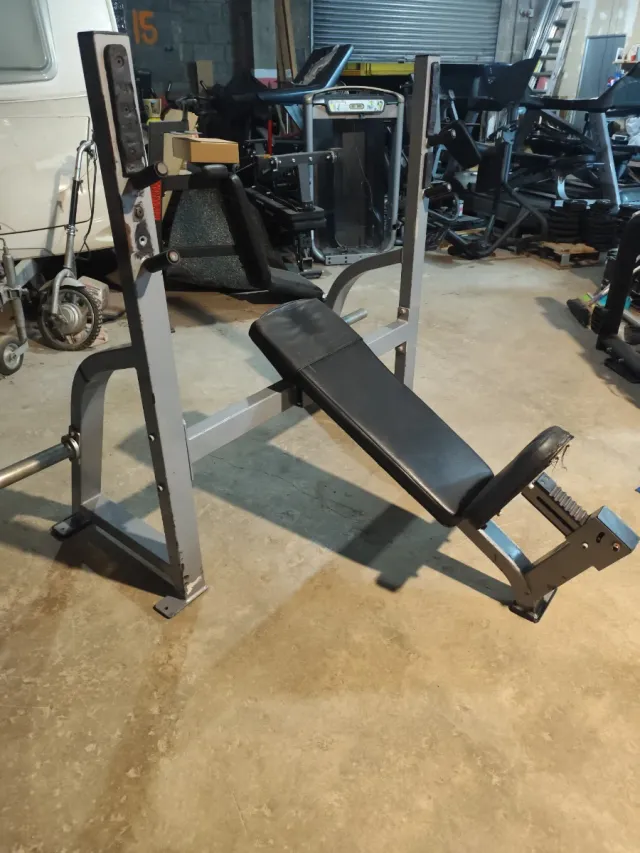 Banco de Press Matrix Inclinado