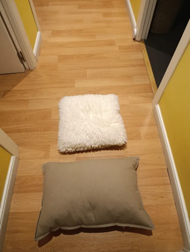 Vendo cojines 5 euros unidad