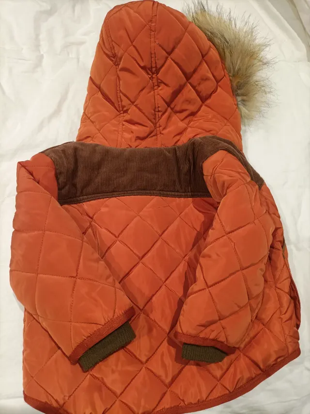 Chaquetón con capucha bebé niño 18-24 meses.