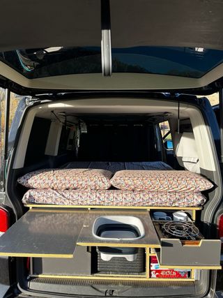 Volkswagen Multivan 2010