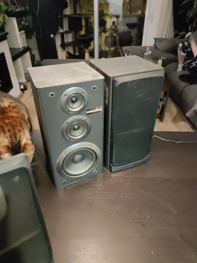 Altavoces Pioneer S-P510 3 Vías