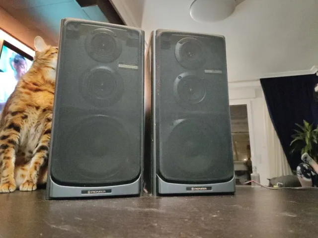 Altavoces Pioneer S-P510 3 Vías