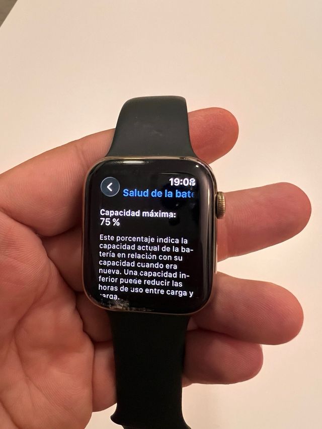 Apple Watch Series 6 45mm Acero Inoxidable Oro