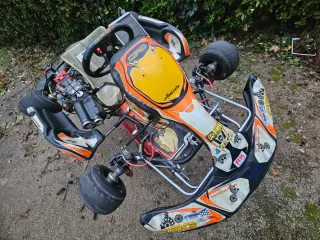 Kart CRG Road Rebel kz motor Modena