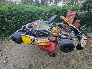 Kart CRG Road Rebel kz motor Modena