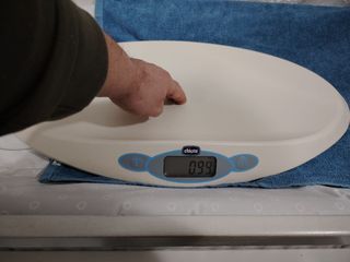 Bilancia digitale Chicco neonati