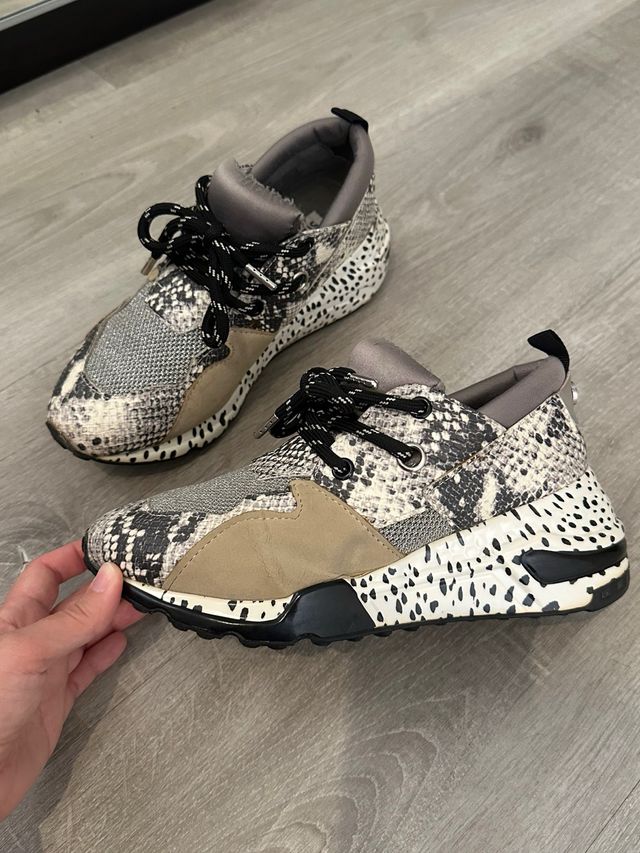 Zapatillas Steve Madden Piel Serpiente Talla 37
