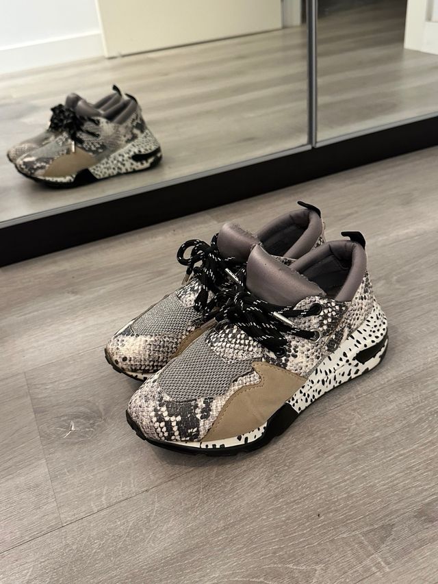 Zapatillas Steve Madden Piel Serpiente Talla 37