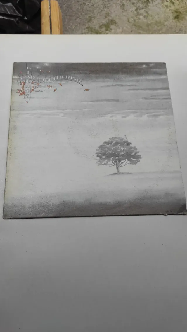 Dischi 33 giri International Pop Rock