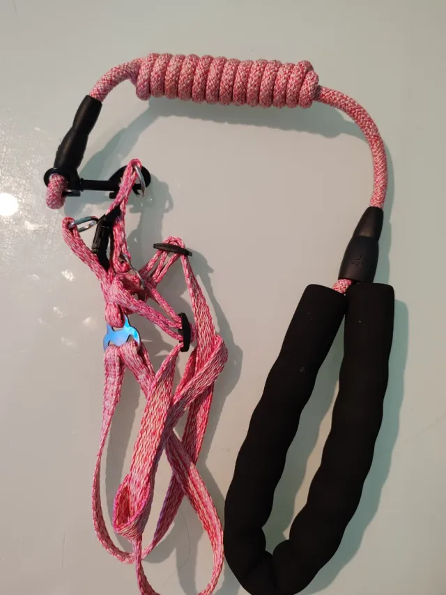 Arnés y Correa para Perro Rosa y Negro