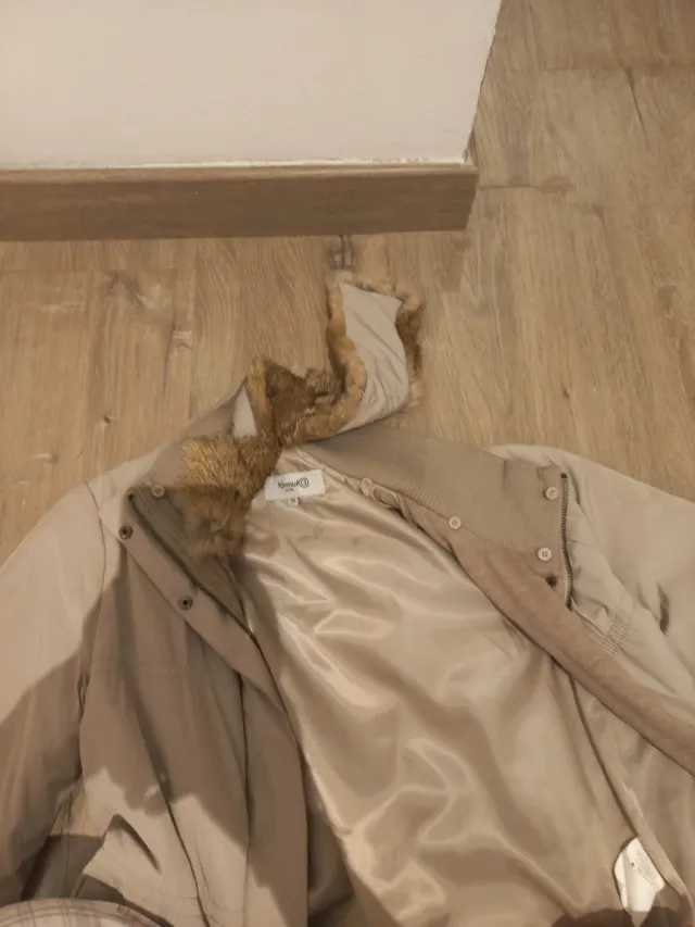 Chaqueta de invierno beige