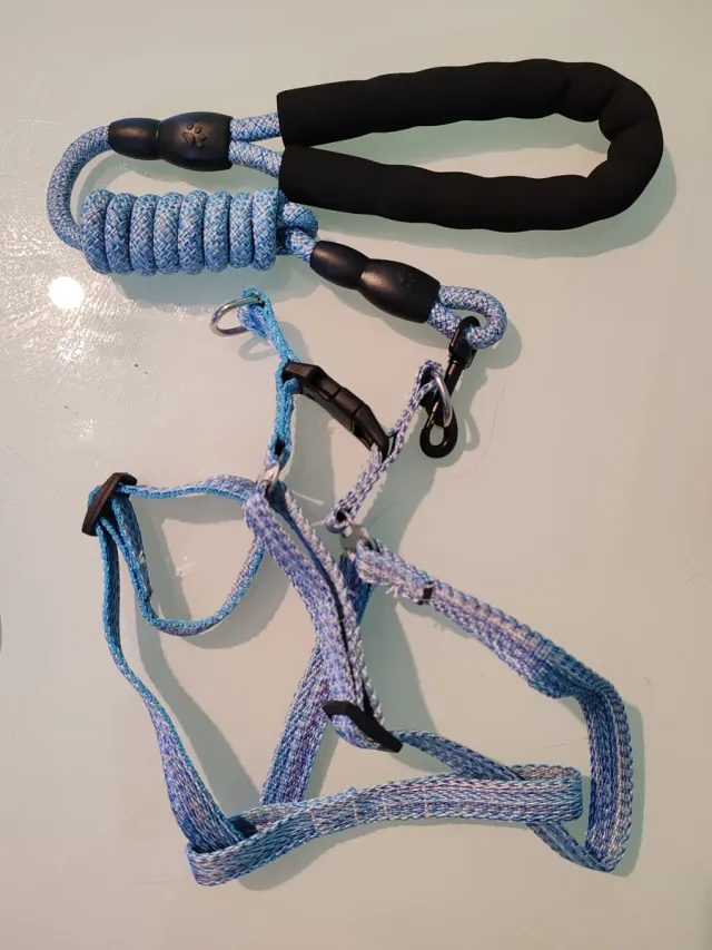 Arnés y Correa para Perro Azul/Negro