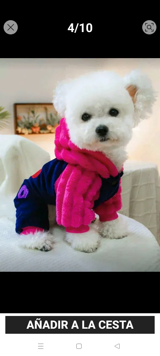 Abrigo para perro azul y rosa,felpa super suave.